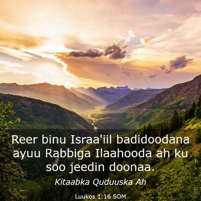 Picture 03 - Luukos 1:16 SOM - Reer binu Israa'iil badidoodana ayuu Rabbiga - Bible Verse Picture