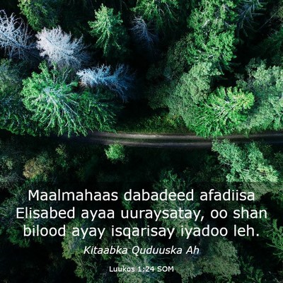 Picture 03 - Luukos 1:24 SOM - Maalmahaas dabadeed afadiisa Elisabed ayaa - Bible Verse Picture