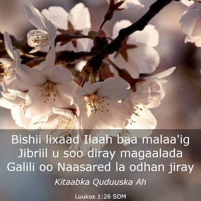 Picture 03 - Luukos 1:26 SOM - Bishii lixaad Ilaah baa malaa'ig Jibriil u soo - Bible Verse Picture
