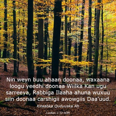 Picture 03 - Luukos 1:32 SOM - Nin weyn buu ahaan doonaa, waxaana loogu yeedhi - Bible Verse Picture