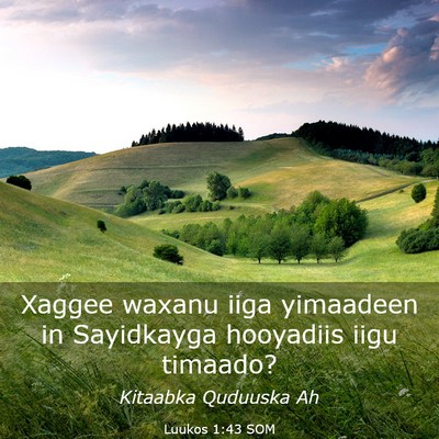 Picture 03 - Luukos 1:43 SOM - Xaggee waxanu iiga yimaadeen in Sayidkayga - Bible Verse Picture