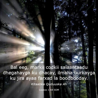 Picture 03 - Luukos 1:44 SOM - Bal eeg, markii codkii salaantaadu dhegahayga ku - Bible Verse Picture