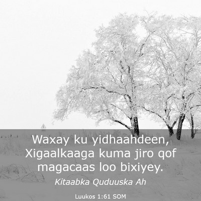 Picture 03 - Luukos 1:61 SOM - Waxay ku yidhaahdeen, Xigaalkaaga kuma jiro qof - Bible Verse Picture