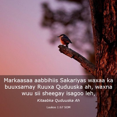 Picture 03 - Luukos 1:67 SOM - Markaasaa aabbihiis Sakariyas waxaa ka buuxsamay - Bible Verse Picture