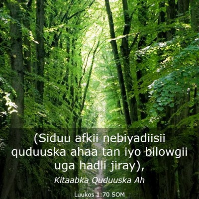 Picture 03 - Luukos 1:70 SOM - (Siduu afkii nebiyadiisii quduuska ahaa tan iyo - Bible Verse Picture