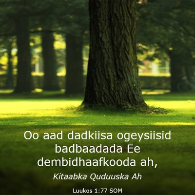 Picture 03 - Luukos 1:77 SOM - Oo aad dadkiisa ogeysiisid badbaadada Ee - Bible Verse Picture