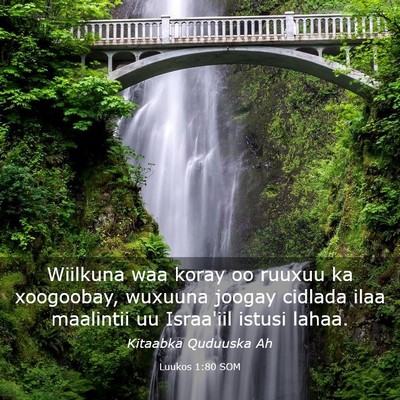 Picture 03 - Luukos 1:80 SOM - Wiilkuna waa koray oo ruuxuu ka xoogoobay, - Bible Verse Picture