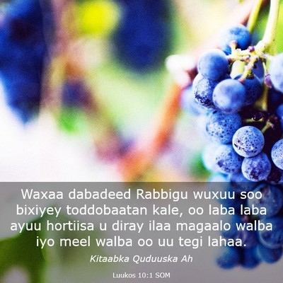 Picture 03 - Luukos 10:1 SOM - Waxaa dabadeed Rabbigu wuxuu soo bixiyey - Bible Verse Picture