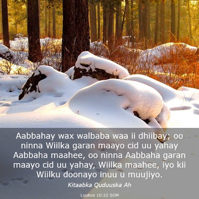 Picture 03 - Luukos 10:22 SOM - Aabbahay wax walbaba waa ii dhiibay; oo ninna - Bible Verse Picture