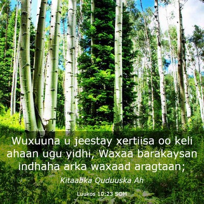 Picture 03 - Luukos 10:23 SOM - Wuxuuna u jeestay xertiisa oo keli ahaan ugu - Bible Verse Picture