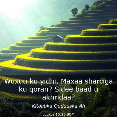 Picture 03 - Luukos 10:26 SOM - Wuxuu ku yidhi, Maxaa sharciga ku qoran? Sidee - Bible Verse Picture