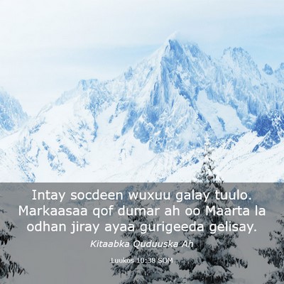 Picture 03 - Luukos 10:38 SOM - Intay socdeen wuxuu galay tuulo. Markaasaa qof - Bible Verse Picture