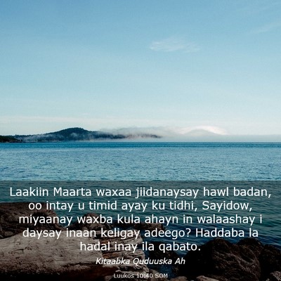 Picture 03 - Luukos 10:40 SOM - Laakiin Maarta waxaa jiidanaysay hawl badan, oo - Bible Verse Picture