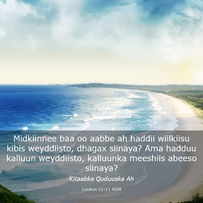 Picture 03 - Luukos 11:11 SOM - Midkiinnee baa oo aabbe ah haddii wiilkiisu kibis - Bible Verse Picture
