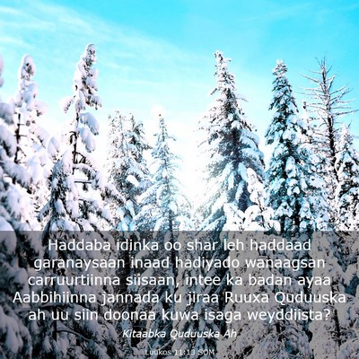 Picture 03 - Luukos 11:13 SOM - Haddaba idinka oo shar leh haddaad garanaysaan - Bible Verse Picture