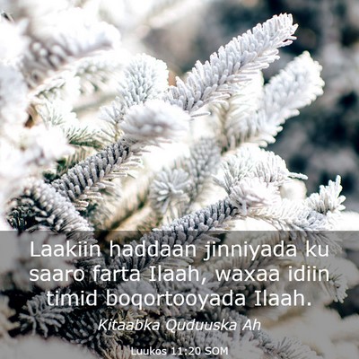 Picture 03 - Luukos 11:20 SOM - Laakiin haddaan jinniyada ku saaro farta Ilaah, - Bible Verse Picture