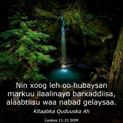 Picture 03 - Luukos 11:21 SOM - Nin xoog leh oo hubaysan markuu ilaalinayo - Bible Verse Picture