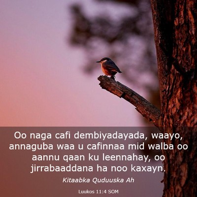 Picture 03 - Luukos 11:4 SOM - Oo naga cafi dembiyadayada, waayo, annaguba waa u - Bible Verse Picture