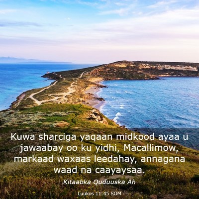 Picture 03 - Luukos 11:45 SOM - Kuwa sharciga yaqaan midkood ayaa u jawaabay oo - Bible Verse Picture