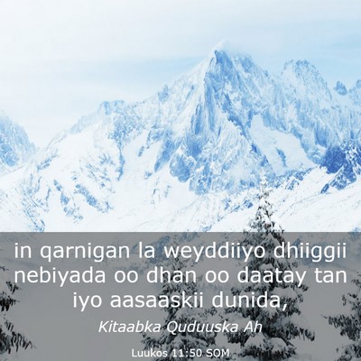 Picture 03 - Luukos 11:50 SOM - in qarnigan la weyddiiyo dhiiggii nebiyada oo - Bible Verse Picture