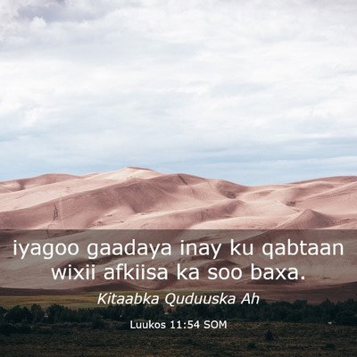 Picture 03 - Luukos 11:54 SOM - iyagoo gaadaya inay ku qabtaan wixii afkiisa ka - Bible Verse Picture