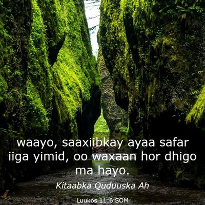 Picture 03 - Luukos 11:6 SOM - waayo, saaxiibkay ayaa safar iiga yimid, oo - Bible Verse Picture