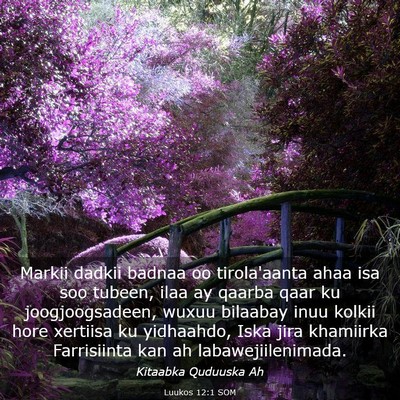 Picture 03 - Luukos 12:1 SOM - Markii dadkii badnaa oo tirola'aanta ahaa isa soo - Bible Verse Picture