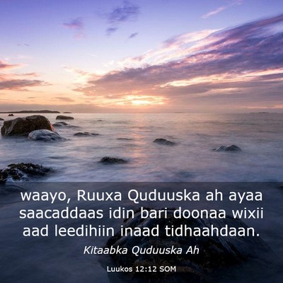 Picture 03 - Luukos 12:12 SOM - waayo, Ruuxa Quduuska ah ayaa saacaddaas idin - Bible Verse Picture