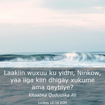Picture 03 - Luukos 12:14 SOM - Laakiin wuxuu ku yidhi, Ninkow, yaa iiga kiin - Bible Verse Picture