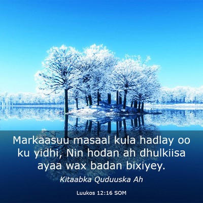 Picture 03 - Luukos 12:16 SOM - Markaasuu masaal kula hadlay oo ku yidhi, Nin - Bible Verse Picture