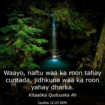 Picture 03 - Luukos 12:23 SOM - Waayo, naftu waa ka roon tahay cuntada, jidhkuna - Bible Verse Picture
