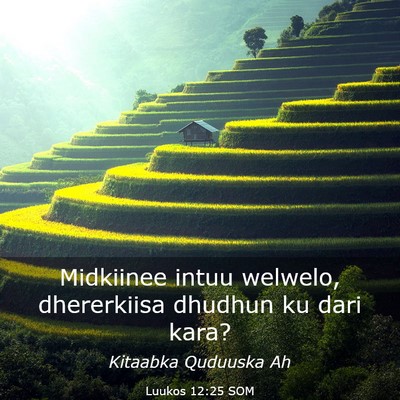 Picture 03 - Luukos 12:25 SOM - Midkiinee intuu welwelo, dhererkiisa dhudhun ku - Bible Verse Picture
