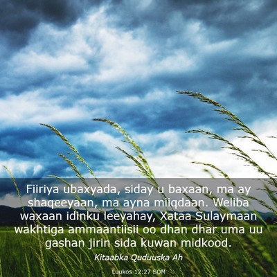 Picture 03 - Luukos 12:27 SOM - Fiiriya ubaxyada, siday u baxaan, ma ay - Bible Verse Picture
