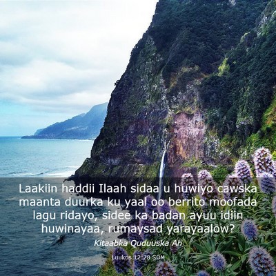 Picture 03 - Luukos 12:28 SOM - Laakiin haddii Ilaah sidaa u huwiyo cawska maanta - Bible Verse Picture