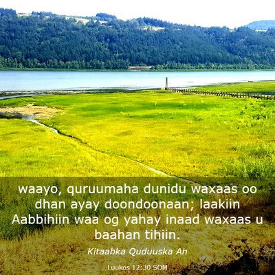 Picture 03 - Luukos 12:30 SOM - waayo, quruumaha dunidu waxaas oo dhan ayay - Bible Verse Picture