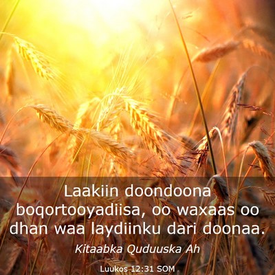 Picture 03 - Luukos 12:31 SOM - Laakiin doondoona boqortooyadiisa, oo waxaas oo - Bible Verse Picture