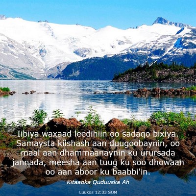 Picture 03 - Luukos 12:33 SOM - Iibiya waxaad leedihiin oo sadaqo bixiya. - Bible Verse Picture