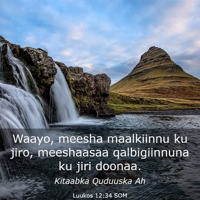Picture 03 - Luukos 12:34 SOM - Waayo, meesha maalkiinnu ku jiro, meeshaasaa - Bible Verse Picture