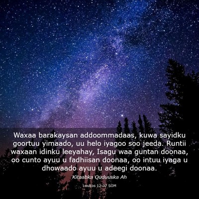 Picture 03 - Luukos 12:37 SOM - Waxaa barakaysan addoommadaas, kuwa sayidku - Bible Verse Picture