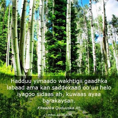 Picture 03 - Luukos 12:38 SOM - Hadduu yimaado wakhtigii gaadhka labaad ama kan - Bible Verse Picture