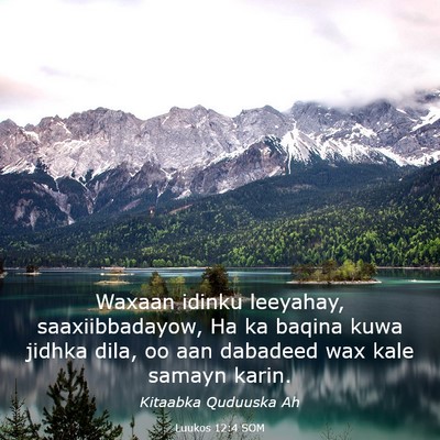 Picture 03 - Luukos 12:4 SOM - Waxaan idinku leeyahay, saaxiibbadayow, Ha ka - Bible Verse Picture