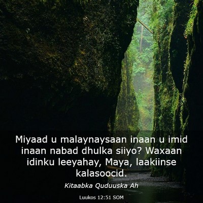 Picture 03 - Luukos 12:51 SOM - Miyaad u malaynaysaan inaan u imid inaan nabad - Bible Verse Picture