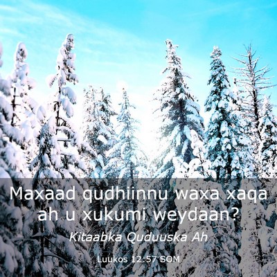 Picture 03 - Luukos 12:57 SOM - Maxaad qudhiinnu waxa xaqa ah u xukumi - Bible Verse Picture