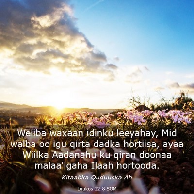 Picture 03 - Luukos 12:8 SOM - Weliba waxaan idinku leeyahay, Mid walba oo igu - Bible Verse Picture