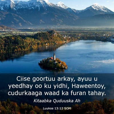 Picture 03 - Luukos 13:12 SOM - Ciise goortuu arkay, ayuu u yeedhay oo ku yidhi, - Bible Verse Picture