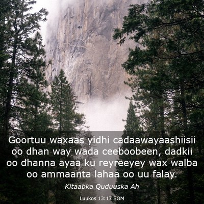 Picture 03 - Luukos 13:17 SOM - Goortuu waxaas yidhi cadaawayaashiisii oo dhan - Bible Verse Picture