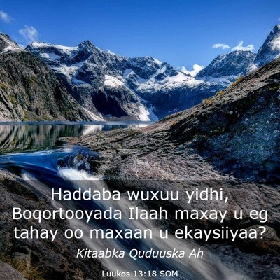 Picture 03 - Luukos 13:18 SOM - Haddaba wuxuu yidhi, Boqortooyada Ilaah maxay u - Bible Verse Picture