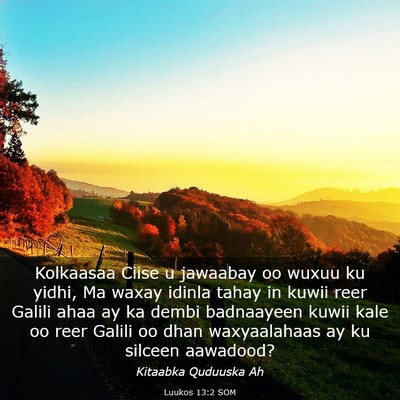 Picture 03 - Luukos 13:2 SOM - Kolkaasaa Ciise u jawaabay oo wuxuu ku yidhi, Ma - Bible Verse Picture