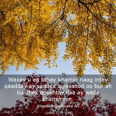 Picture 03 - Luukos 13:21 SOM - Waxay u eg tahay khamiir naag intay qaadday ay - Bible Verse Picture