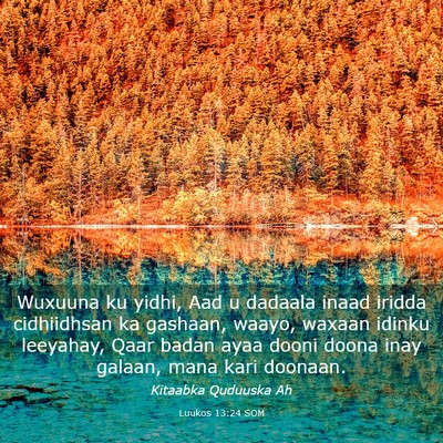 Picture 03 - Luukos 13:24 SOM - Wuxuuna ku yidhi, Aad u dadaala inaad iridda - Bible Verse Picture